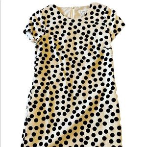 J Crew Dress